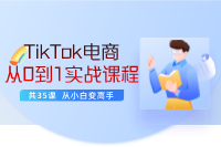 TikTok从0到1电商变现实战课，TikTok运营+Shopify独立站运营+TikTok广告投放